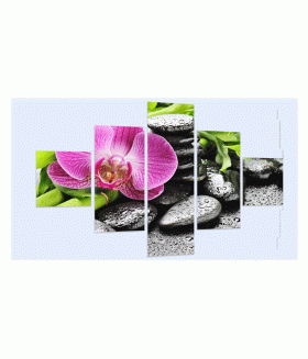 Multi-canvas Spa Orhidee 5x